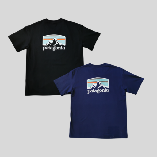 PATAGONIA FITZ ROY HORIZONS TEE